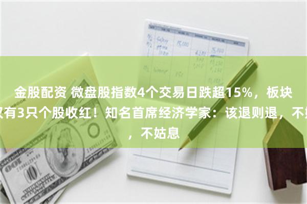 金股配资 微盘股指数4个交易日跌超15%，板块内仅有3只个股收红！知名首席经济学家：该退则退，不姑息