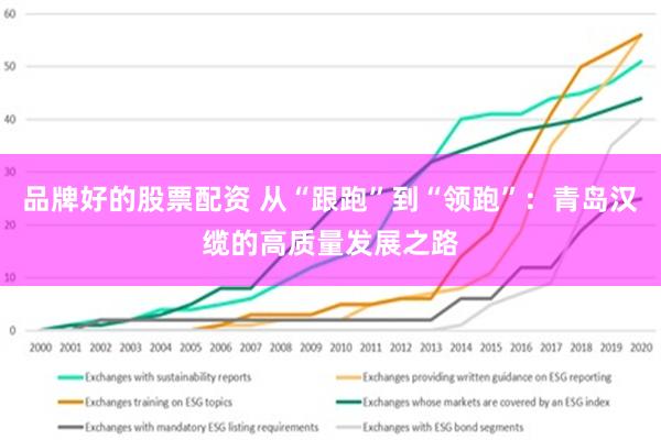 品牌好的股票配资 从“跟跑”到“领跑”：青岛汉缆的高质量发展之路