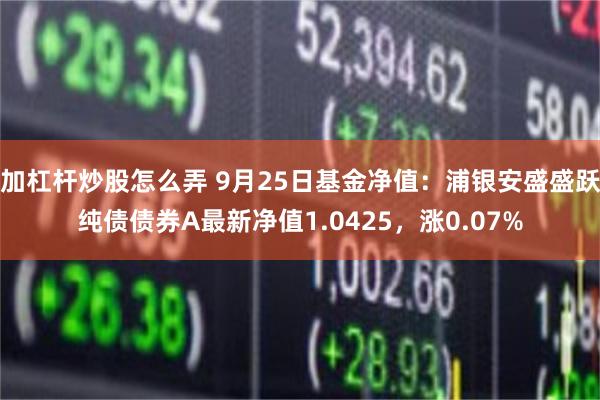 加杠杆炒股怎么弄 9月25日基金净值：浦银安盛盛跃纯债债券A最新净值1.0425，涨0.07%