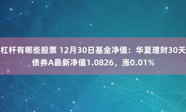 杠杆有哪些股票 12月30日基金净值：华夏理财30天债券A最新净值1.0826，涨0.01%