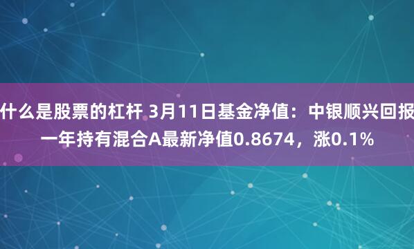 什么是股票的杠杆 3月11日基金净值：中银顺兴回报一年持有混合A最新净值0.8674，涨0.1%