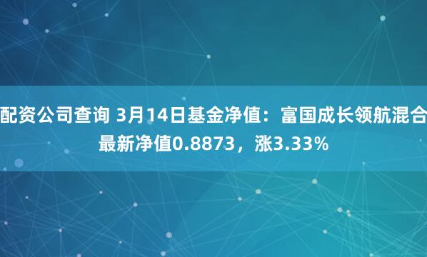 配资公司查询 3月14日基金净值：富国成长领航混合最新净值0.8873，涨3.33%