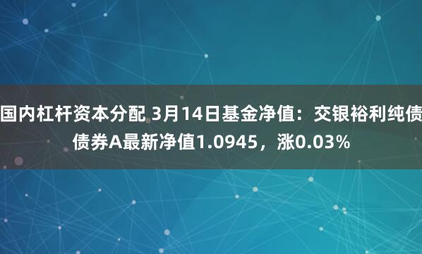 国内杠杆资本分配 3月14日基金净值：交银裕利纯债债券A最新净值1.0945，涨0.03%